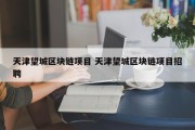天津望城区块链项目 天津望城区块链项目招聘