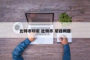 比特币印尼 比特币 尼日利亚