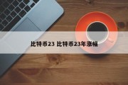 比特币23 比特币23年涨幅